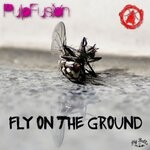 cover: Pulpfusion - Fly On The Ground