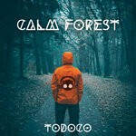 cover: Todoco - Calm Forest