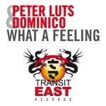 cover: Dominico|Peter Luts - What A Feeling