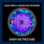 cover: Lucid Vision|Homemade Spaceship - Show Me The Stars