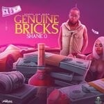 cover: Shane O - Genuine Bricks