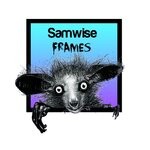 cover: Samwise - Frames