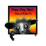 cover: Poor Pay Rich - Succulents