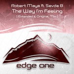 cover: Robert Maya|Evda B - The Way I'm Feeling