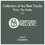 cover: The Husky - Collection Of The Best Tracks From: The Husky Pt 2