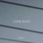 cover: Seeker - Come Back