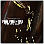 cover: Foo Funkers - Hot You Baby