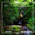 cover: Jay Little - New Beginnings