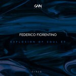 cover: Federico Fiorentino - Explosion Of Soul EP