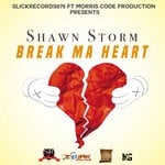 cover: Shawn Storm - Break Ma Heart