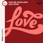 cover: Ash Cook - Give Me Your Love