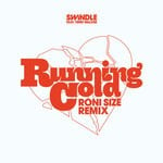 cover: Terri Walker - Running Cold (Roni Size Remix)