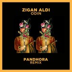 cover: Zigan Aldi - Odin (Pandhora Remix)