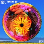 cover: Geral GT - DON'T WANNA EP