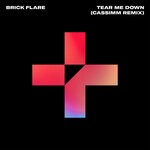 cover: Brick Flare - Tear Me Down (CASSIMM Extended Remix)