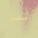 cover: Bessie Turner - Opaque