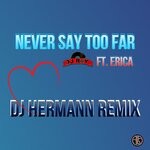 cover: Erica - Never Say Too Far (DJ Hermann Remix)