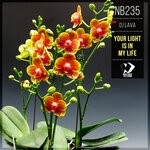 cover: Dj Lava - Your Light Is In My Life