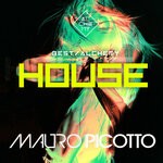 cover: Mauro Picotto - Best Of Alchemy House