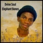 cover: Dvine Soul - Elephant Bones