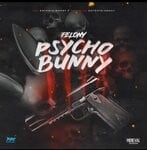 cover: Felony - Psycho Bunny