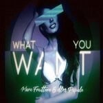 cover: Alex Papale|Marc Fruttero - What You Want (Long Version)