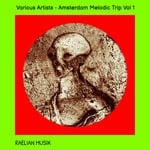 cover: Various - Amsterdam Melodic Trip Vol 1