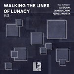 cover: Baez - Walking The Lines Of Lunacy