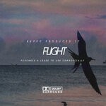 cover: Beppo G - Flight Riddim