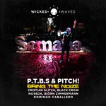 cover: P.t.b.s.|Pitch! - Bring The Noize