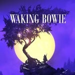 cover: Biscoule - Waking Bowie