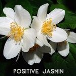 cover: Asabea Wheeler - Jasmine Positive (Tranquility Time)