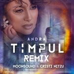 cover: Andra - Timpul (MoonSound & Cristi Nitzu Remix)