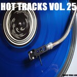 cover: Various - Hot Tracks Vol 25