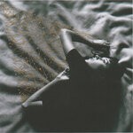 cover: Half Waif - Severed Logic