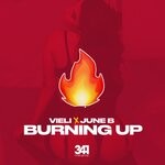 cover: Vieli|June B|341 - Burning Up