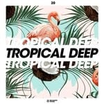 cover: Various - Tropical Deep Vol 20