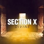 cover: Section X - Divine