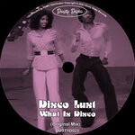 cover: Disco Lust - What Is Disco