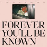 cover: Shelter Boy - Forever You'll Be Known