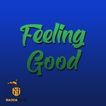 cover: Badda Skat - Feeling Good