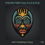 cover: Steven Tibet Feat D-lo|File - Ain't Nothing Crazy