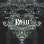 cover: Brohug - Raid