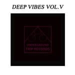 cover: Various - Deep Vibes Vol V