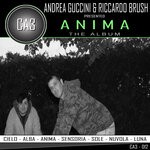 cover: Andrea Guccini|Riccardo Brush - Anima (The Album)