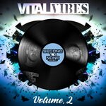 cover: Vital Techniques - Vital Vibes Vol 2