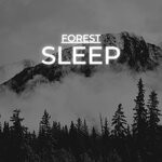 cover: Science Of Sleeping - Forest Sleep