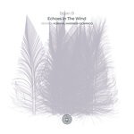 cover: Bojan B - Echoes In The Wind (Remixes)