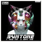 cover: Saintone - This Toy