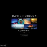 cover: David Roiseux - Sommar